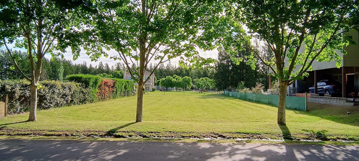 Foto de HARAS DEL SUR II - LOTE EN VENTA - OPORTUNIDAD!!, imagen 5