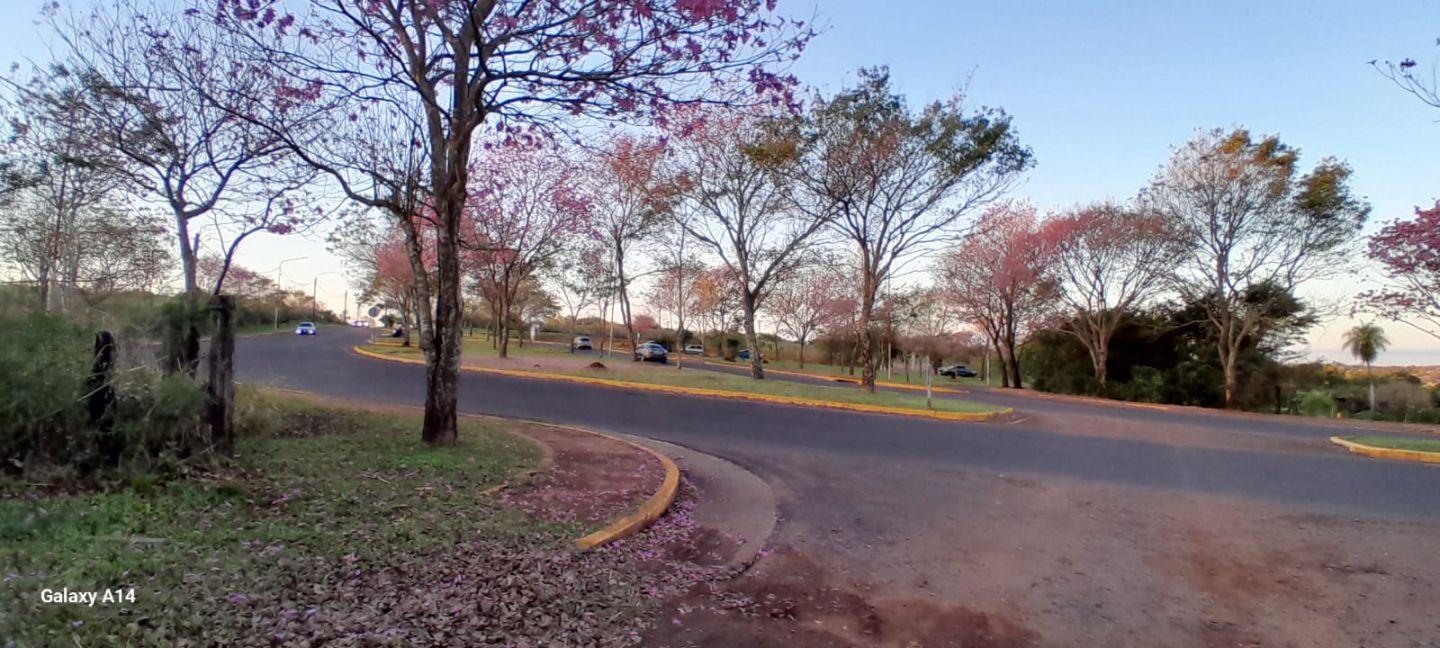 Foto de Lote . | Costanera Oeste, imagen 2