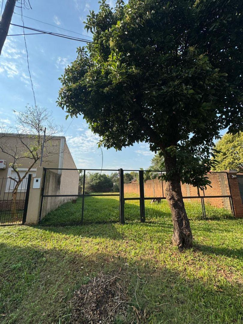Foto de Lote . | 120 y 127, imagen 3