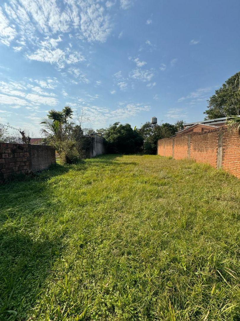 Foto de Lote . | 120 y 127, imagen 4
