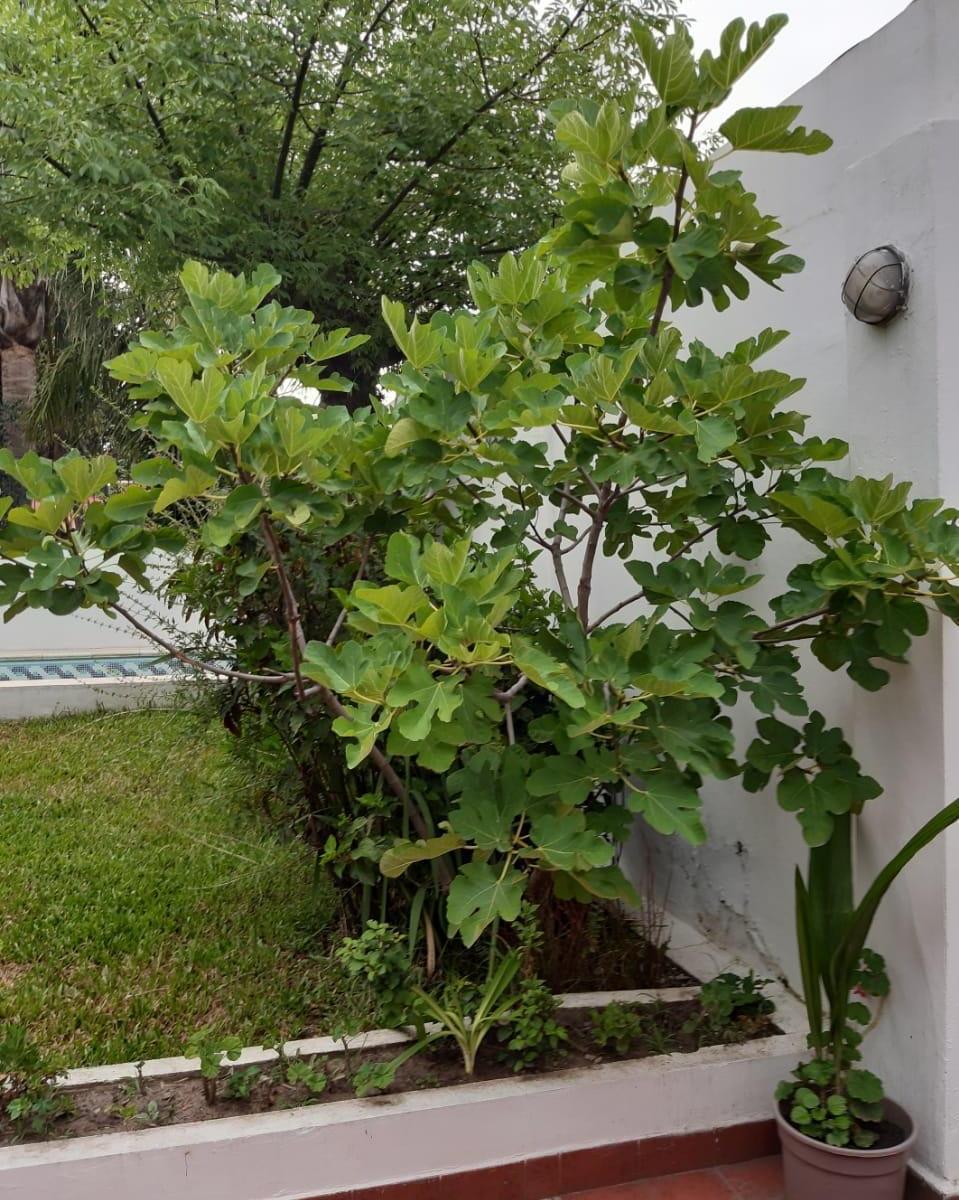 Venta Chalet de 3 Pisos, 6 Ambientes y Pileta Climatizada. (Avellaneda). 1