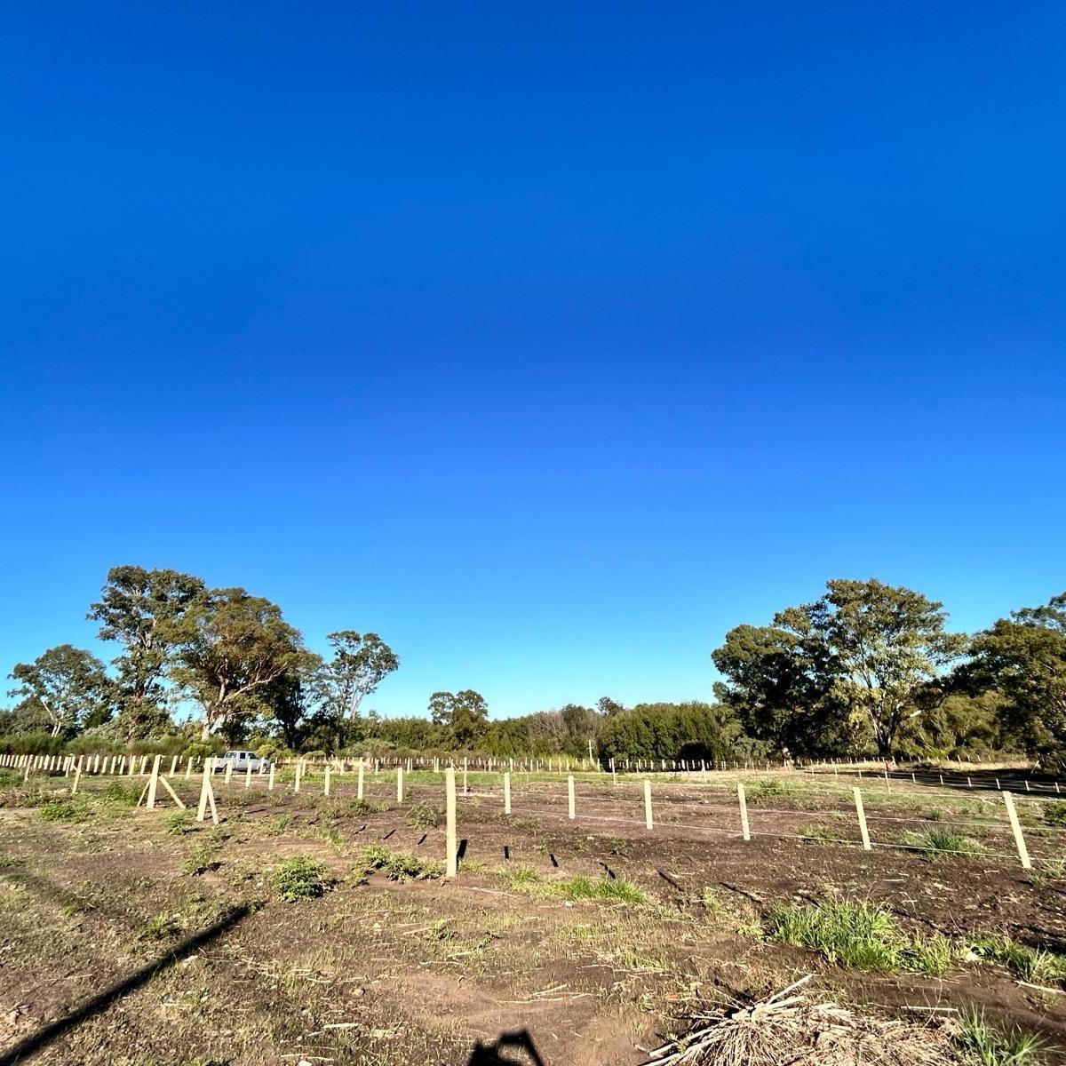 Terreno - Tandil 1