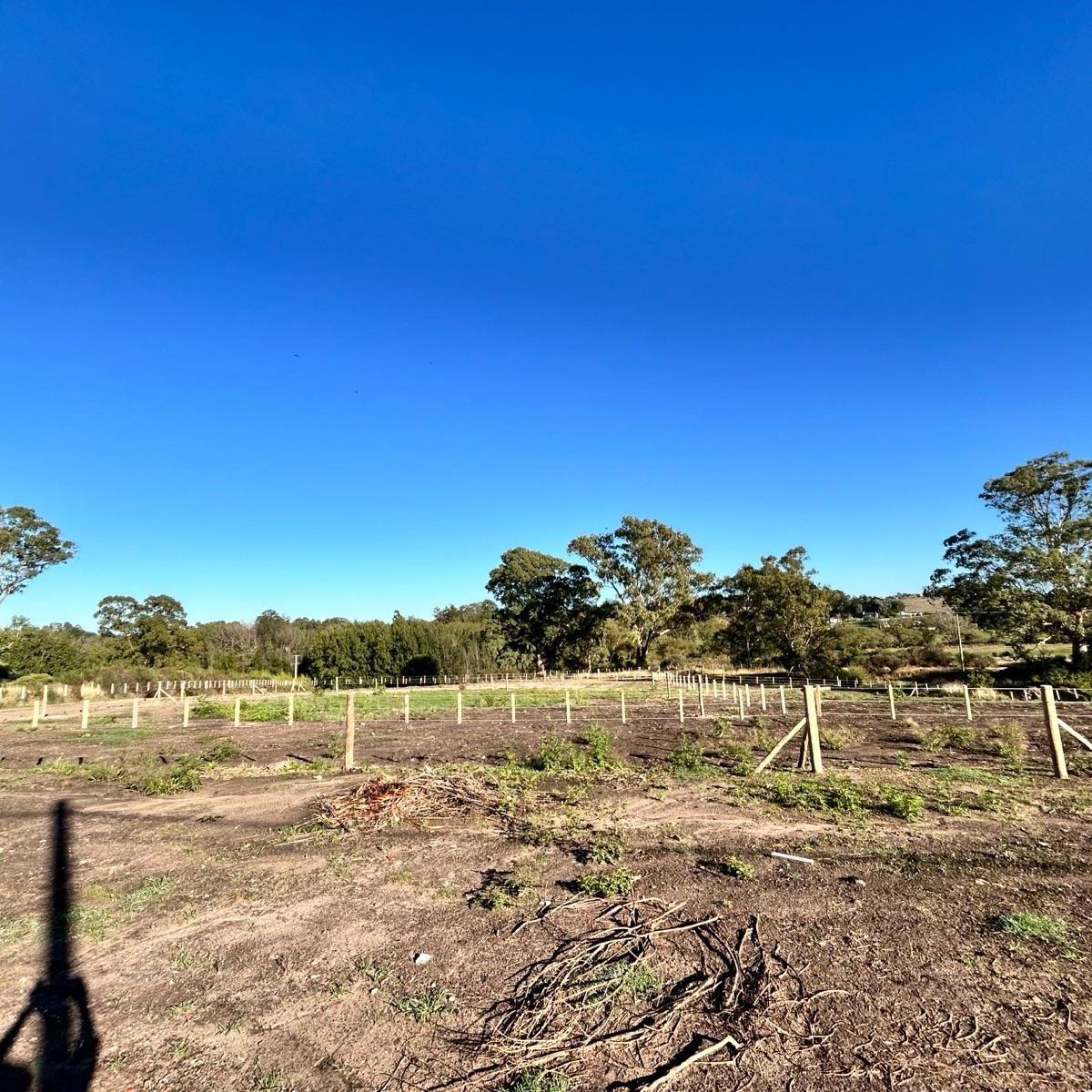 Terreno - Tandil 5
