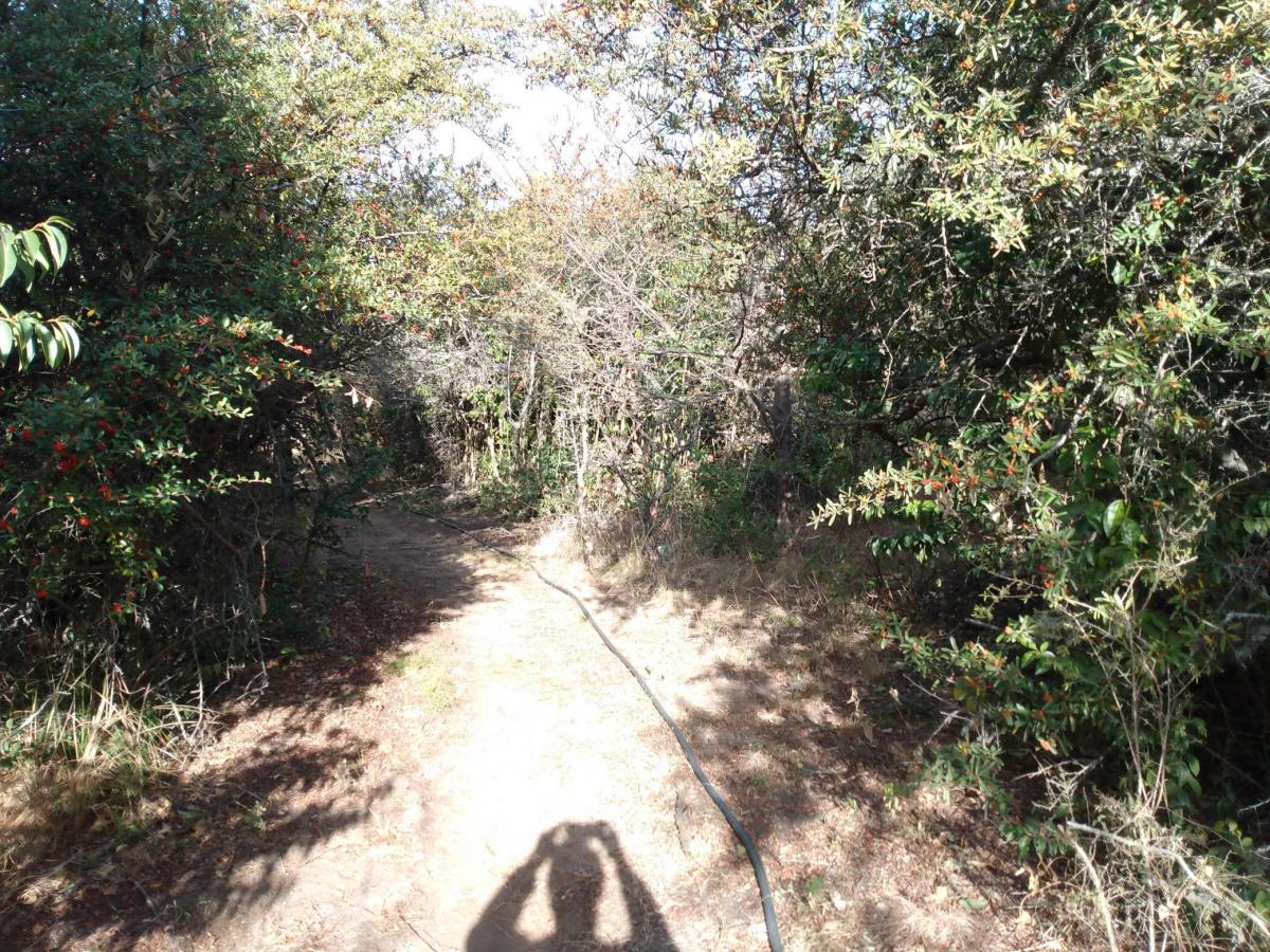 Venta 4 Ha Frente Ciudad Parque Los Reartes 5
