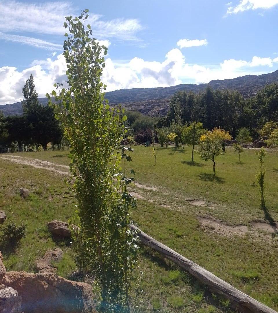 Foto de VENTA CAMPING PARADOR Altas Cumbres Córdoba Río los Sauces, imagen 2