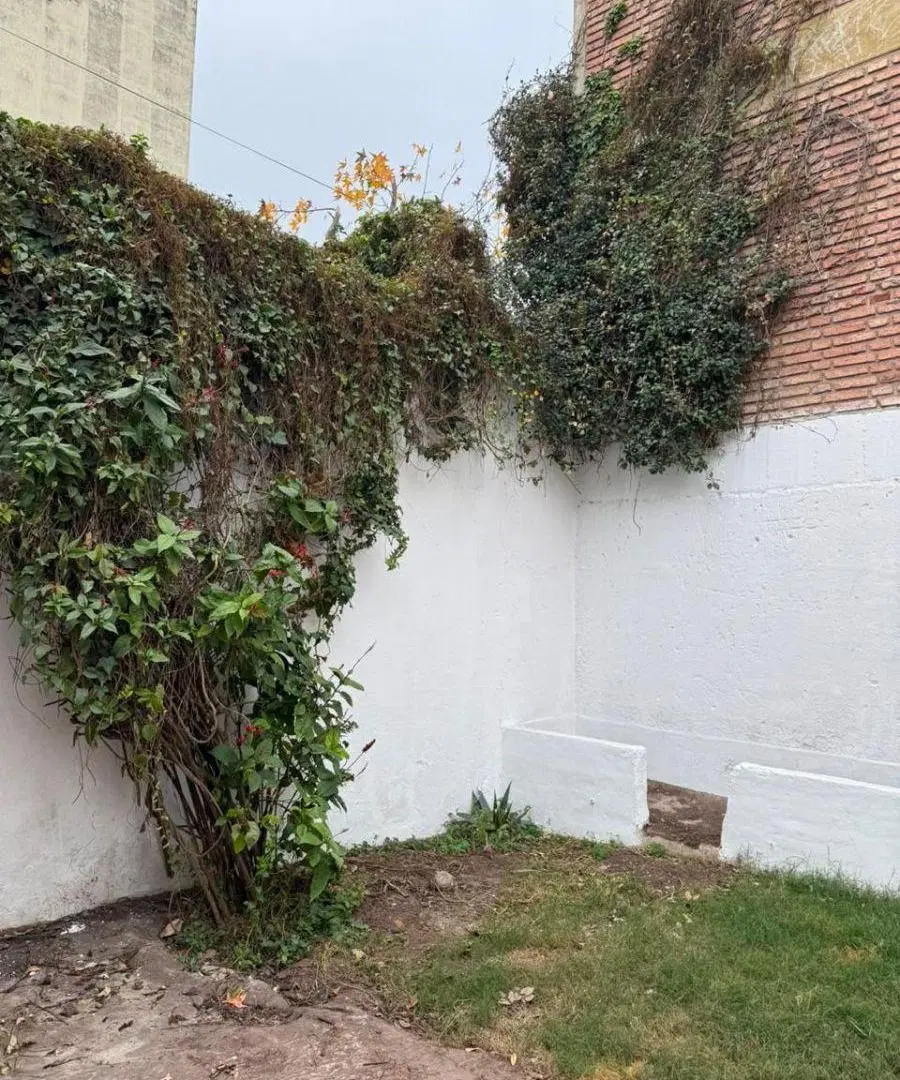 VENTA CASA 3 dormitorios Barrio Guemes PH 3