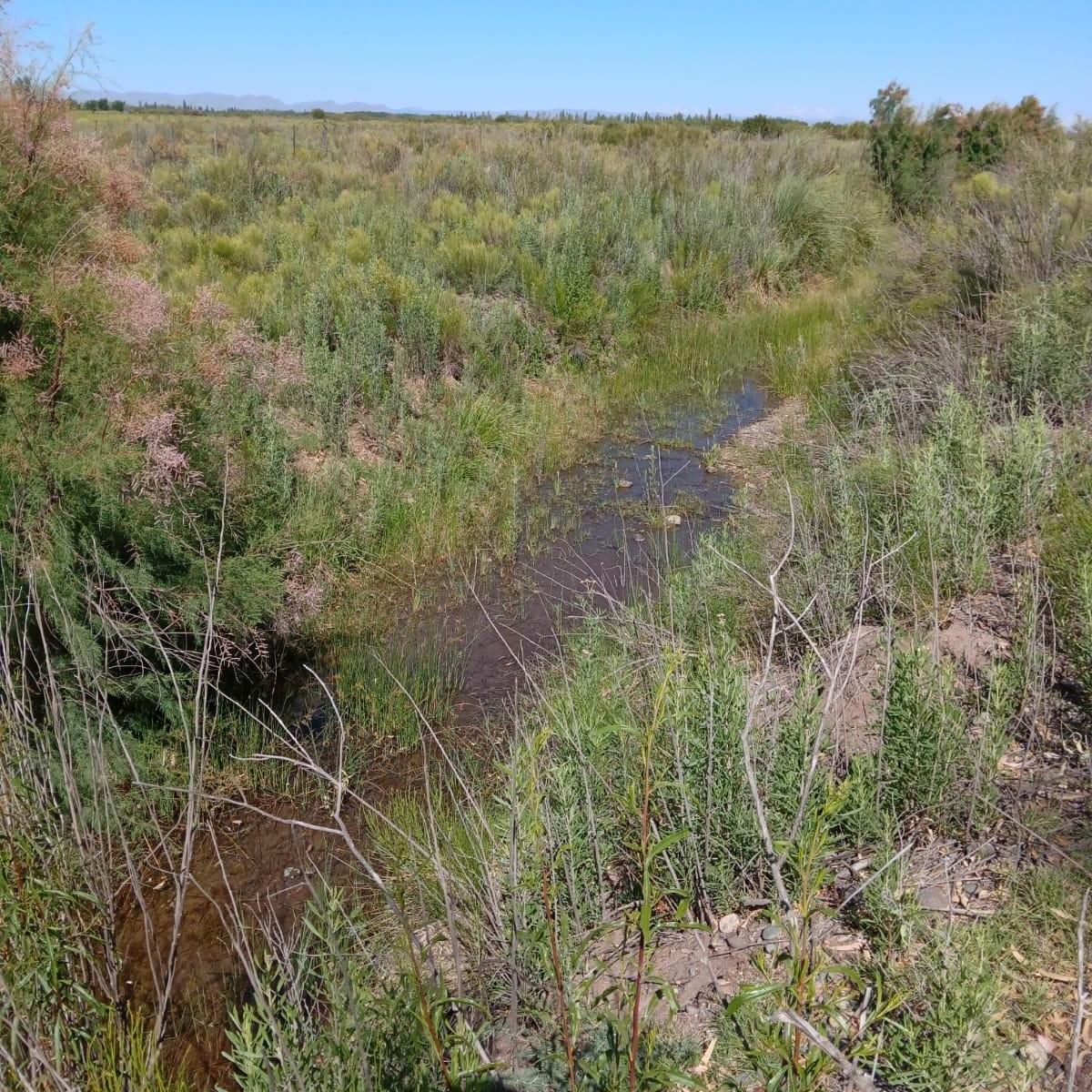 Lote en Venta de 2000 m, San Rafael 1
