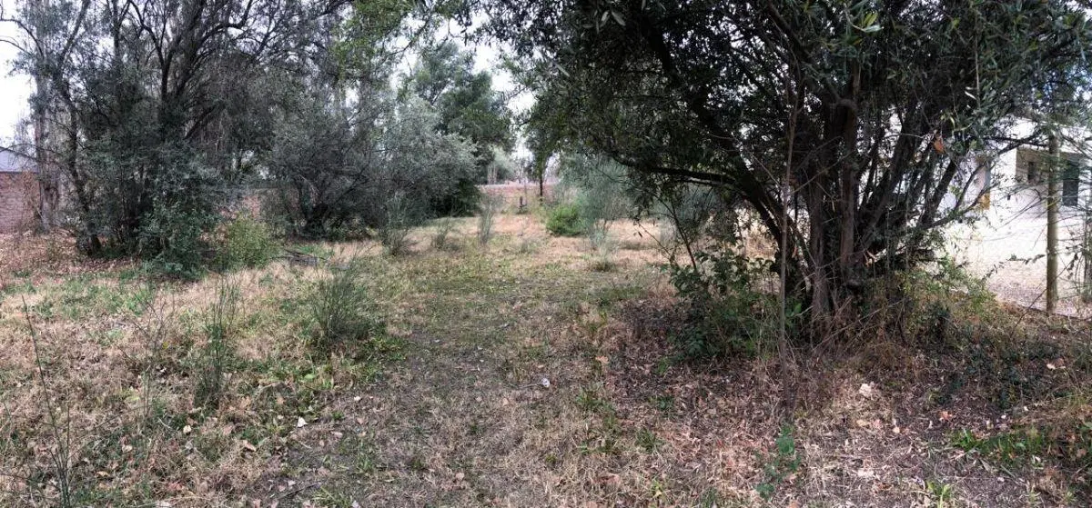 VENTA LOTE CHACRAS DE CORIA PORTON COMUNERO 5