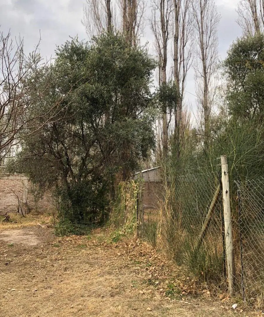 VENTA LOTE CHACRAS DE CORIA PORTON COMUNERO 8