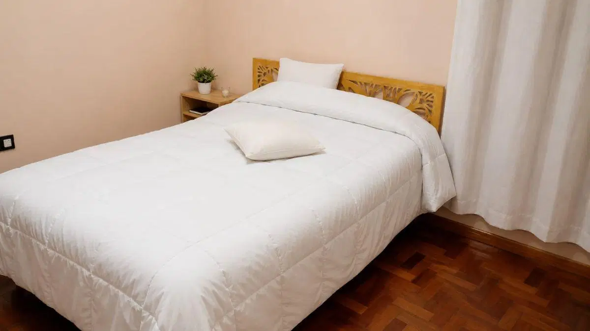 DEPARTAMENTO EN VENTA CALLE DERQUI GODOY CRUZ 5