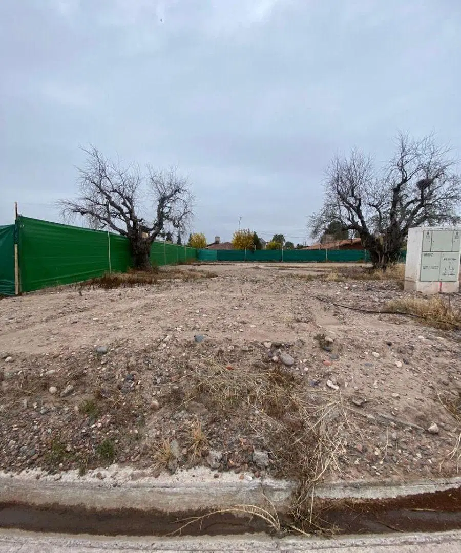 VENTA LOTE SOLAR DE OLIVOS 4