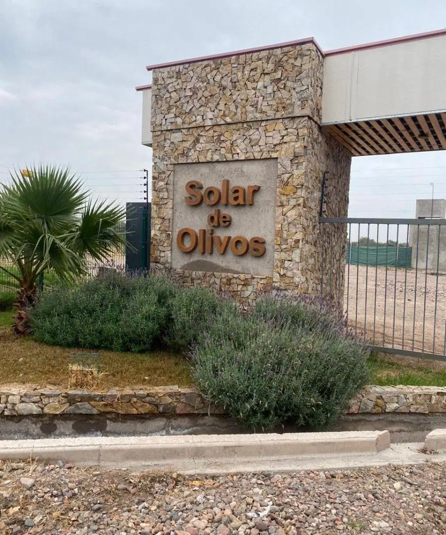 VENTA LOTE SOLAR DE OLIVOS 2