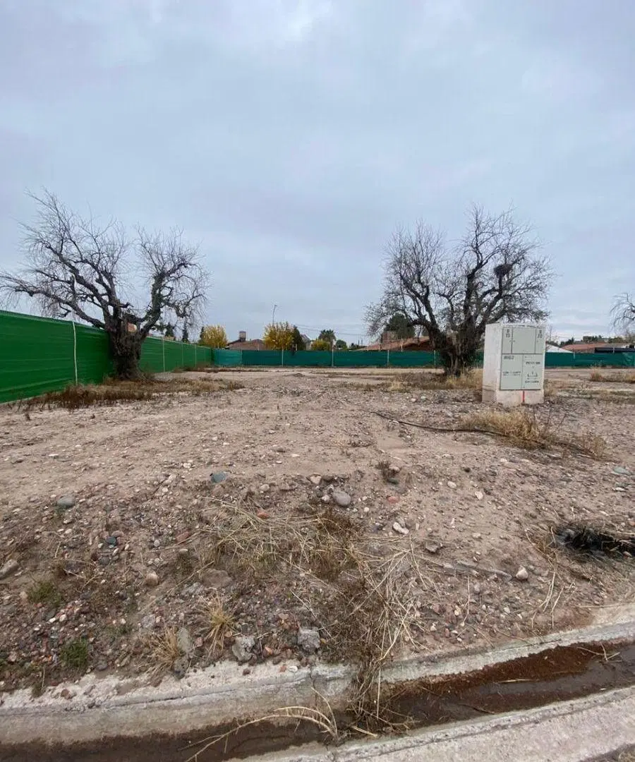 VENTA LOTE SOLAR DE OLIVOS 8