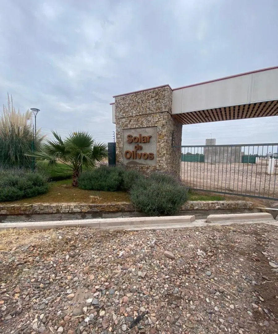 VENTA LOTE SOLAR DE OLIVOS 5