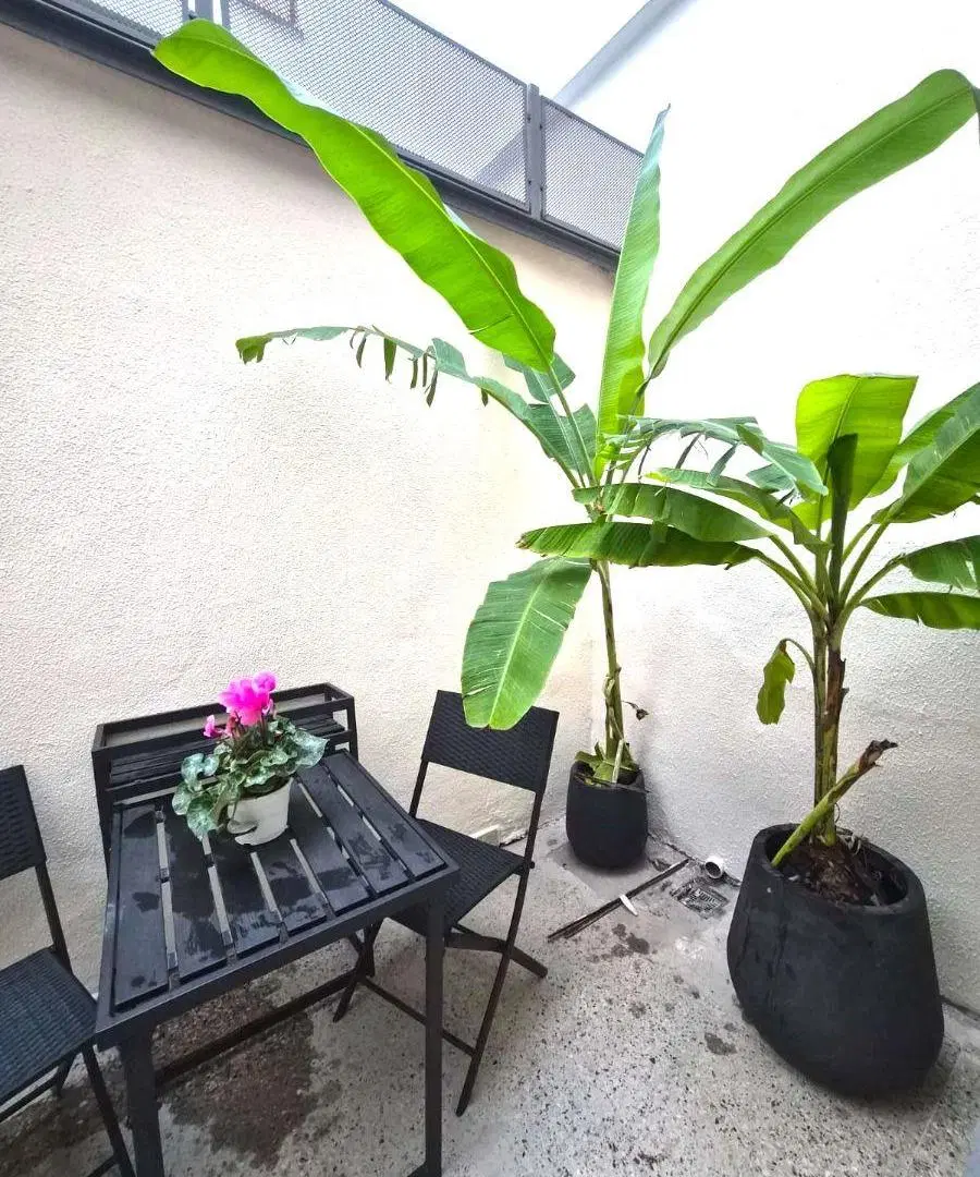 Hermoso PH 3 Ambientes + Patio Villa Devoto. Reciclado a nuevo!! 5