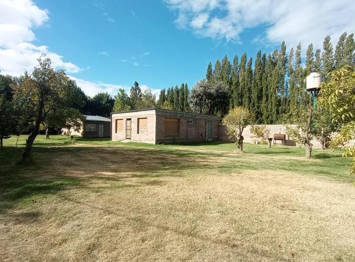 Vendo terreno grande con 8 casas, quincho, galpón, forestado 2