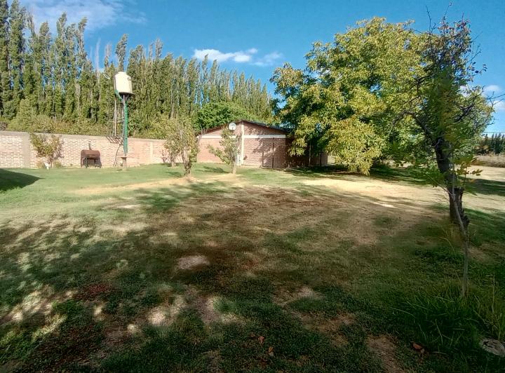 Vendo terreno grande con 8 casas, quincho, galpón, forestado 5