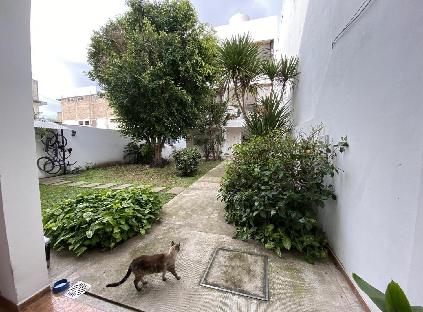 Foto de Departamento 1 ambiente en Ramos Mejia, imagen 4