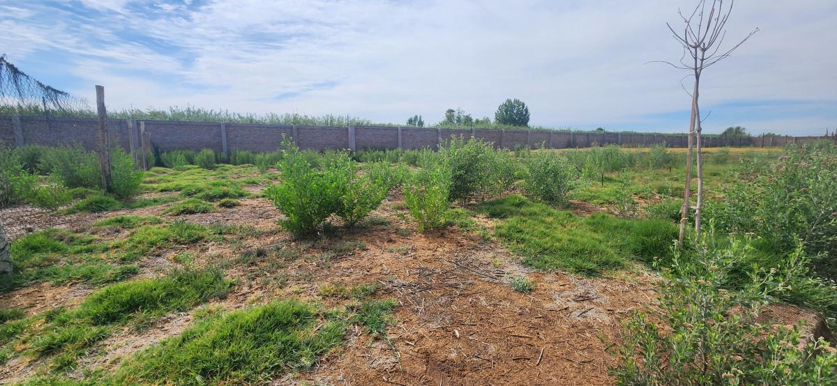 Lote 300 Mt. Barrio Sol Andino III 2