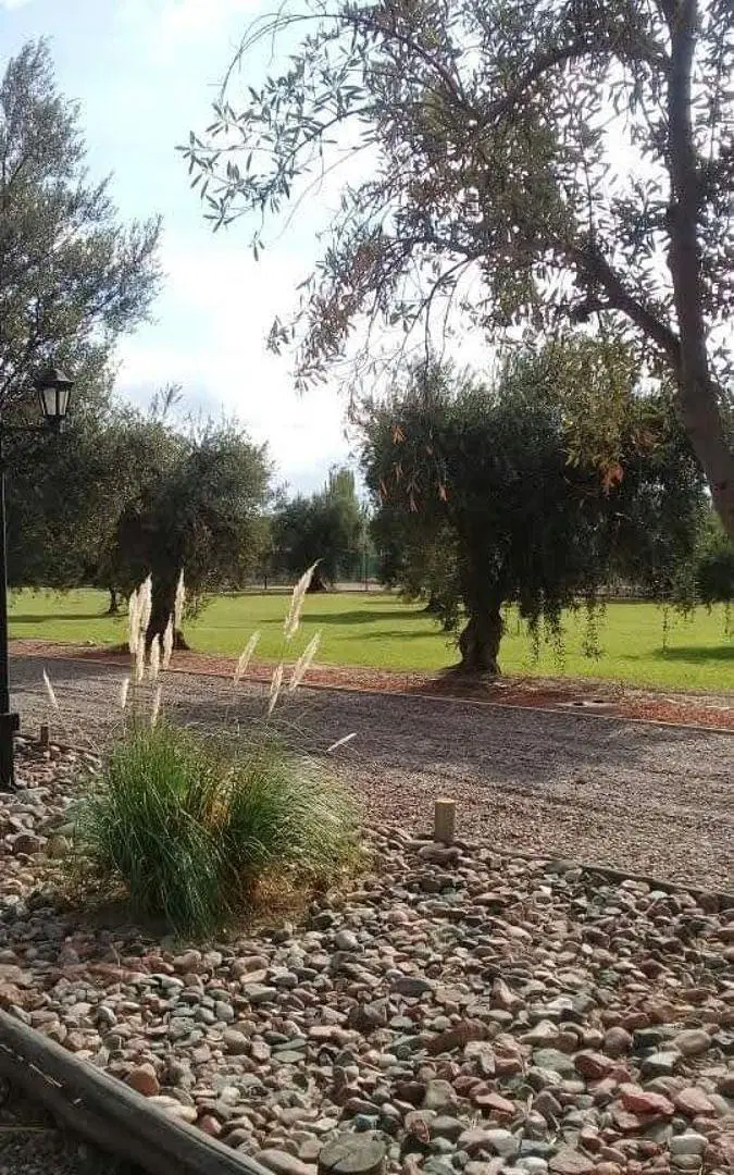 Terreno en Olivos de Furlotti 5