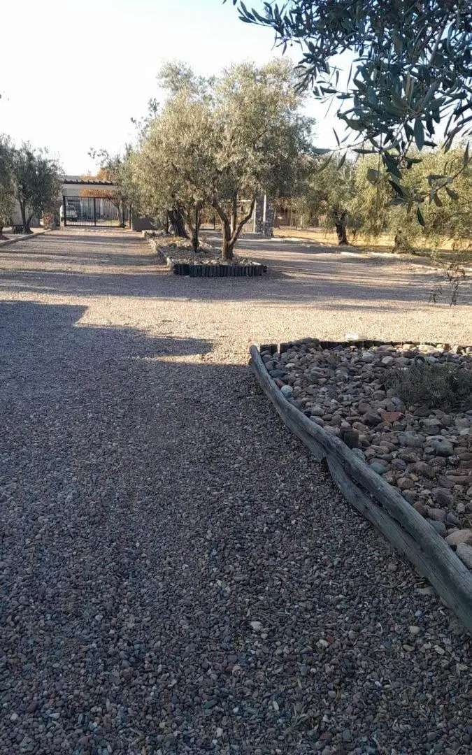 Terreno en Olivos de Furlotti 1