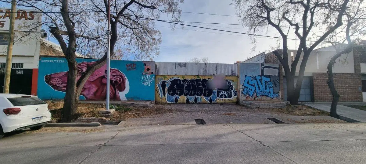 Terreno de 840 mtrs doble frente en Pedro B. PAlacios 2557 y Bermejo 2531, Ciudad 5