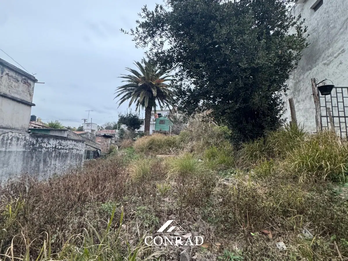 Ultimo Lote céntrico con vistas a media cuadra de Av. San Martín - 277m2 - Río Ceballos 5