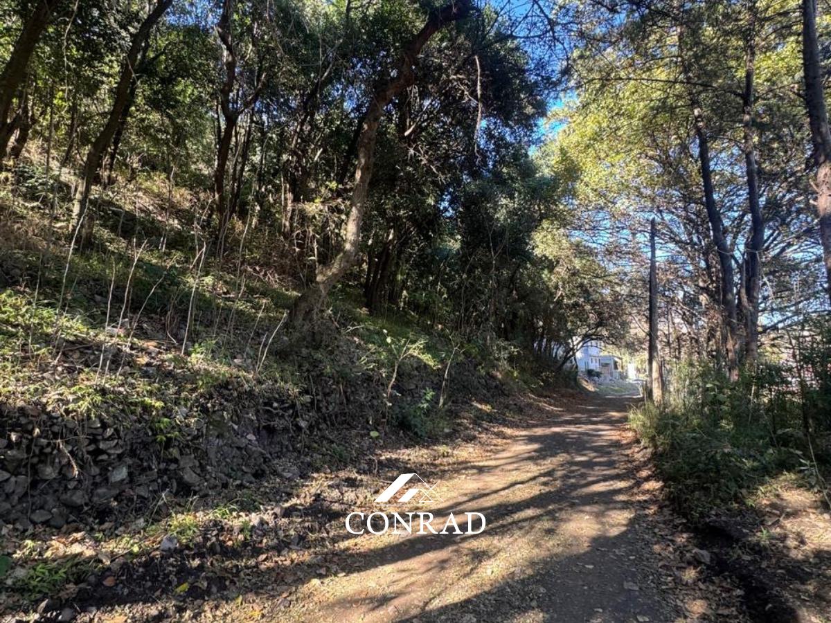 Foto de Lotes en Venta con Escritura a 150mts. de Av. San Martín en Ñu Porá, imagen 5
