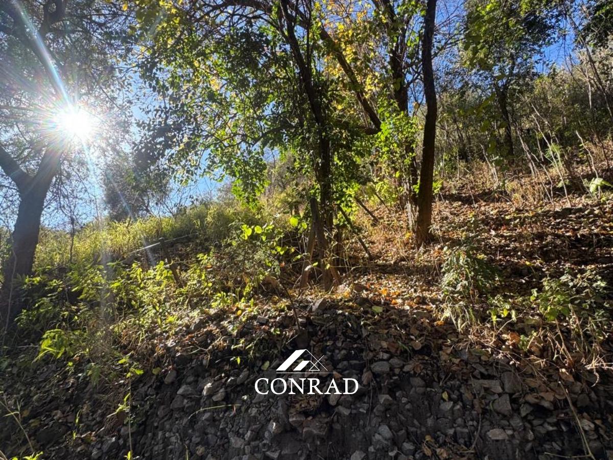 Foto de Lotes en Venta con Escritura a 150mts. de Av. San Martín en Ñu Porá, imagen 3