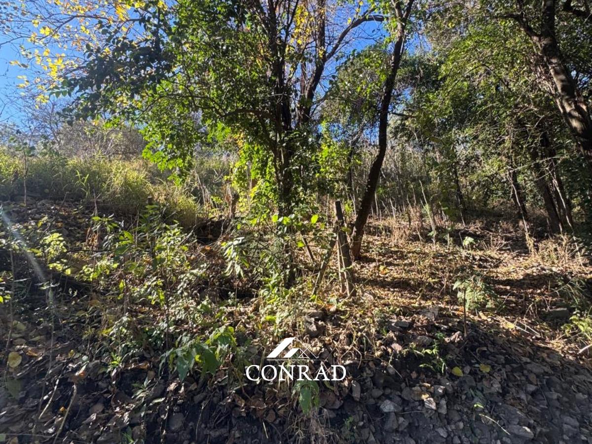 Foto de Lotes en Venta con Escritura a 150mts. de Av. San Martín en Ñu Porá, imagen 2