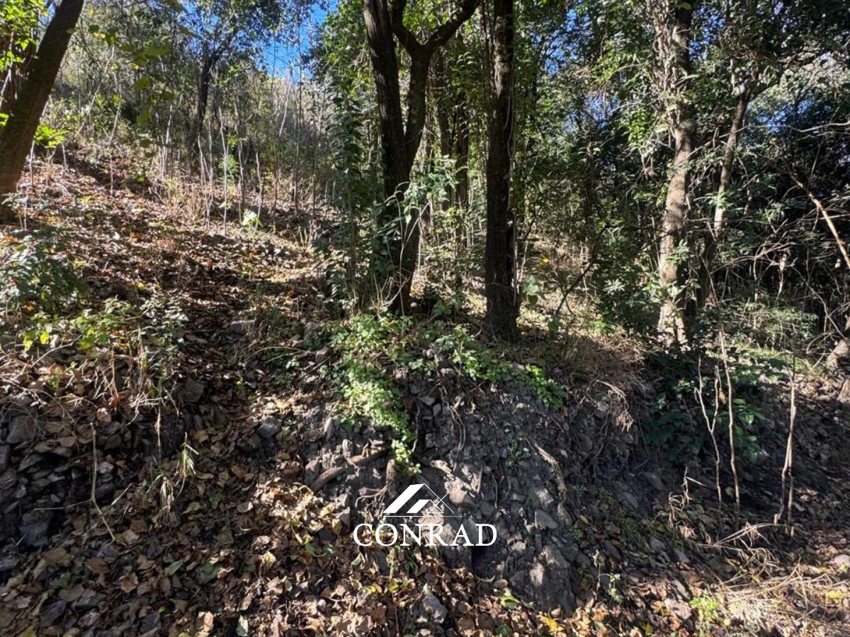 Foto de Lotes en Venta con Escritura a 150mts. de Av. San Martín en Ñu Porá, imagen 4