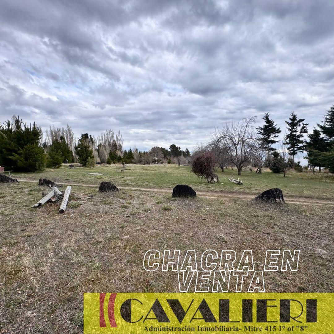 Chacra en Venta! 1