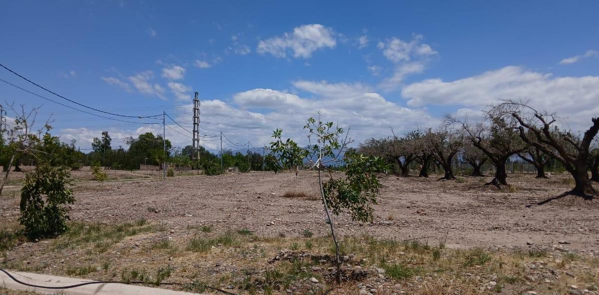 Ampros 8 Lote en Venta 1