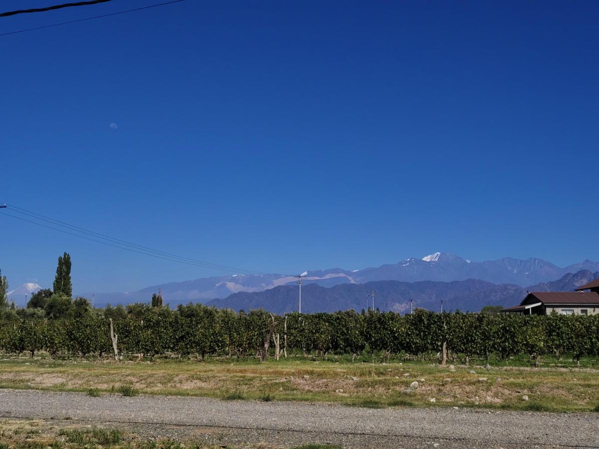 Vistalba Lote en Venta 5