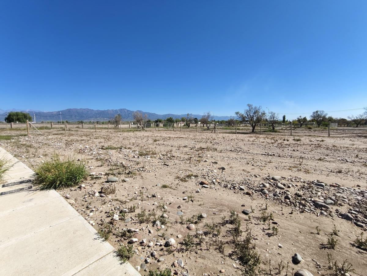 Vistalba Lote en Venta 3