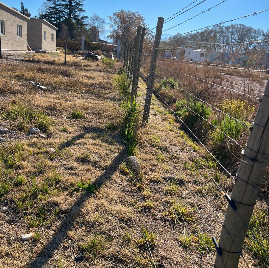 Foto de Lote en venta en Luján de cuyo, imagen 5