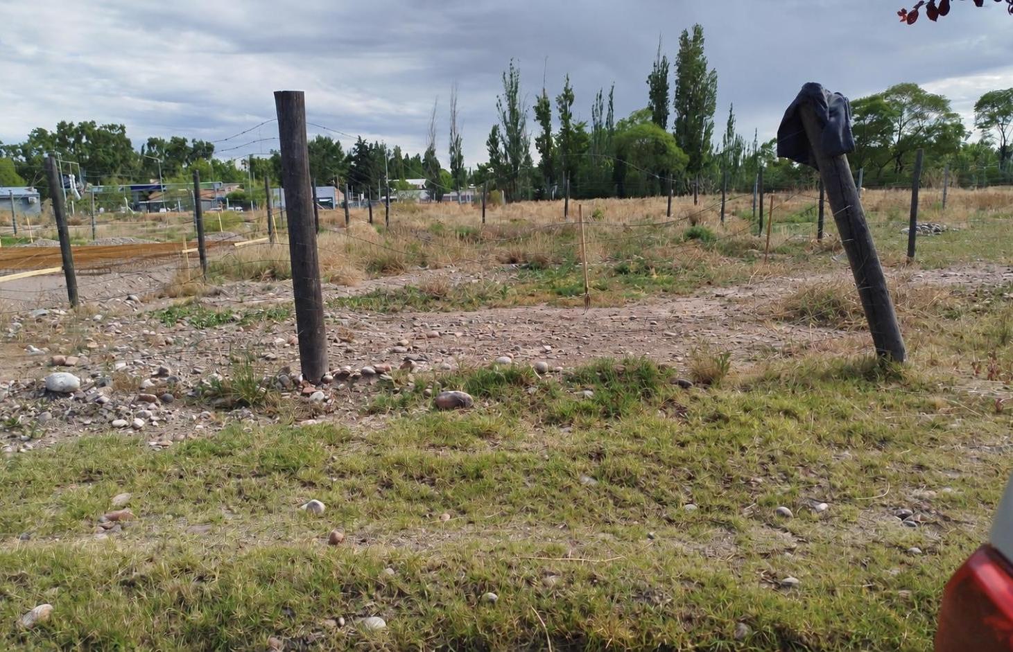 Foto de Lote en venta en Luján de cuyo, imagen 2