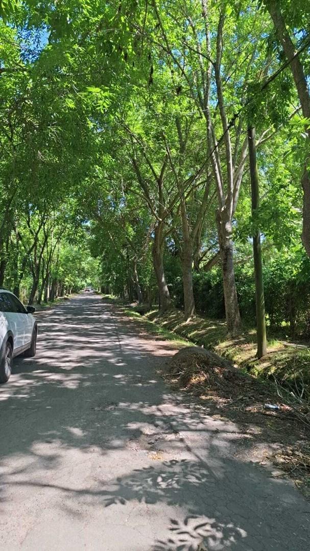 Foto de Terreno Lote en Venta en Villa la Ñata, Dique Luján, Tigre, imagen 5