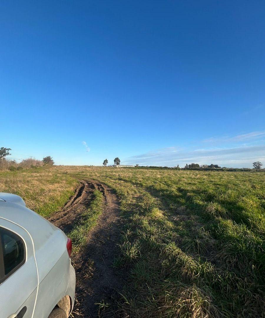 Foto de IMPORTANTE Fracción de 5 ha en venta en Batán, imagen 4