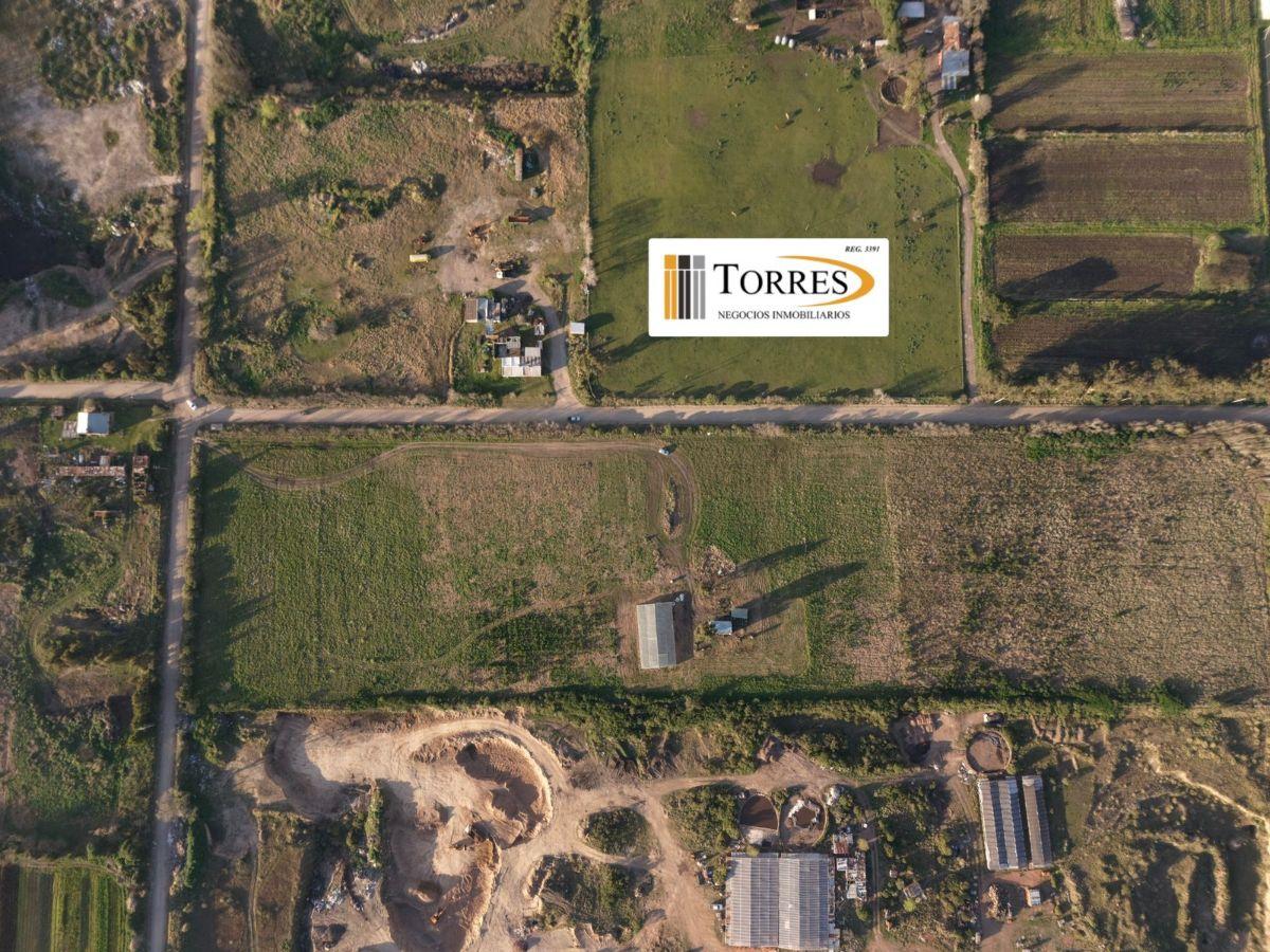 Foto de IMPORTANTE Fracción de 5 ha en venta en Batán, imagen 3