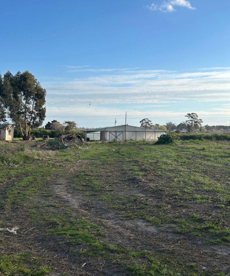 Foto de IMPORTANTE Fracción de 5 ha en venta en Batán, imagen 2