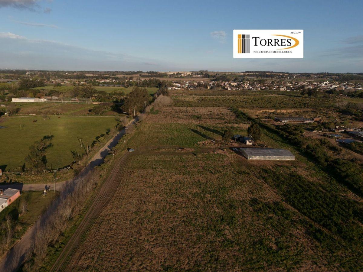 Foto de IMPORTANTE Fracción de 5 ha en venta en Batán, imagen 5