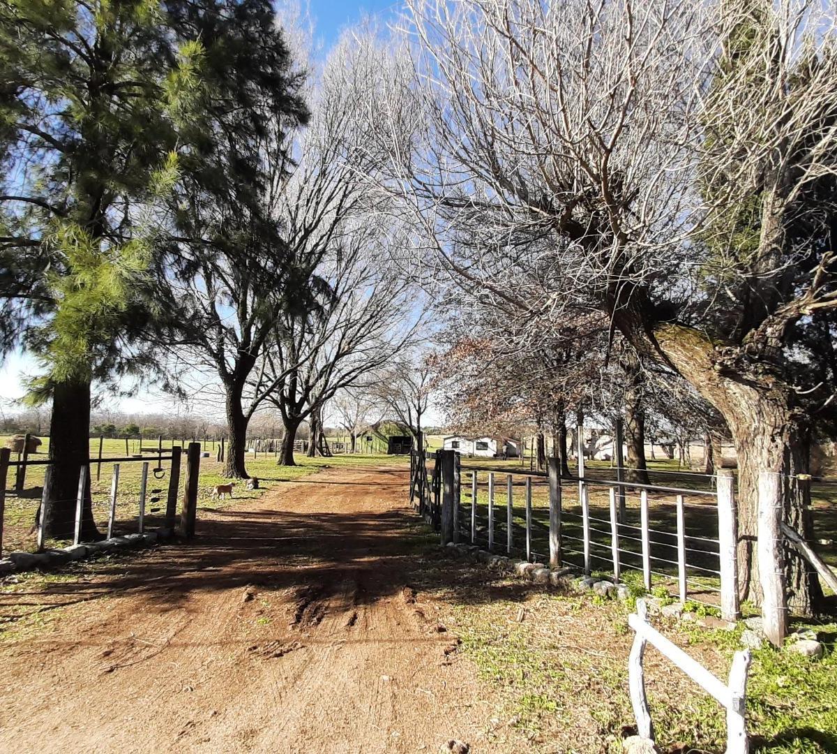 FRACCIÓN INDUSTRIAL - CAMPO