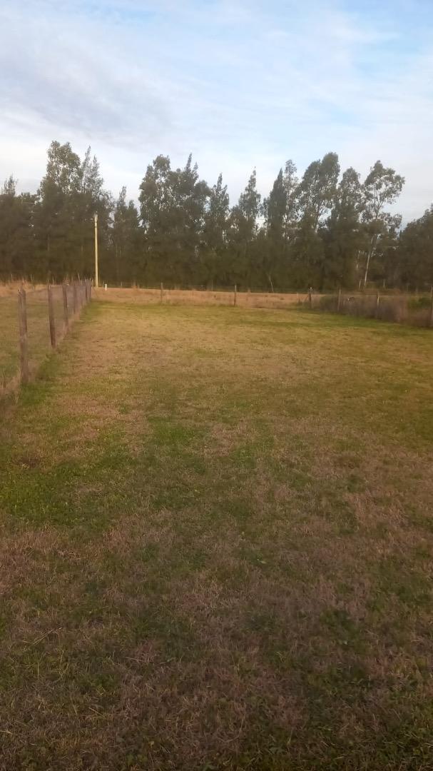 TERRENO EN VENTA CARDALES CHICO