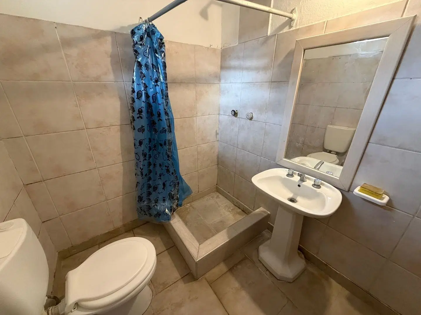 DEPARTAMENTO EN ALQUILER - SAN MARTIN AL 400 5