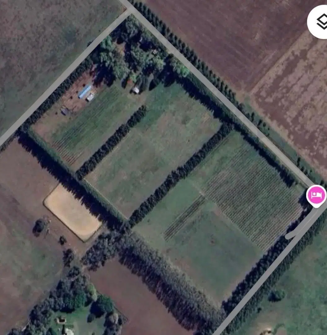 Fracción De Campo De 3 Hectareas Y Media 3