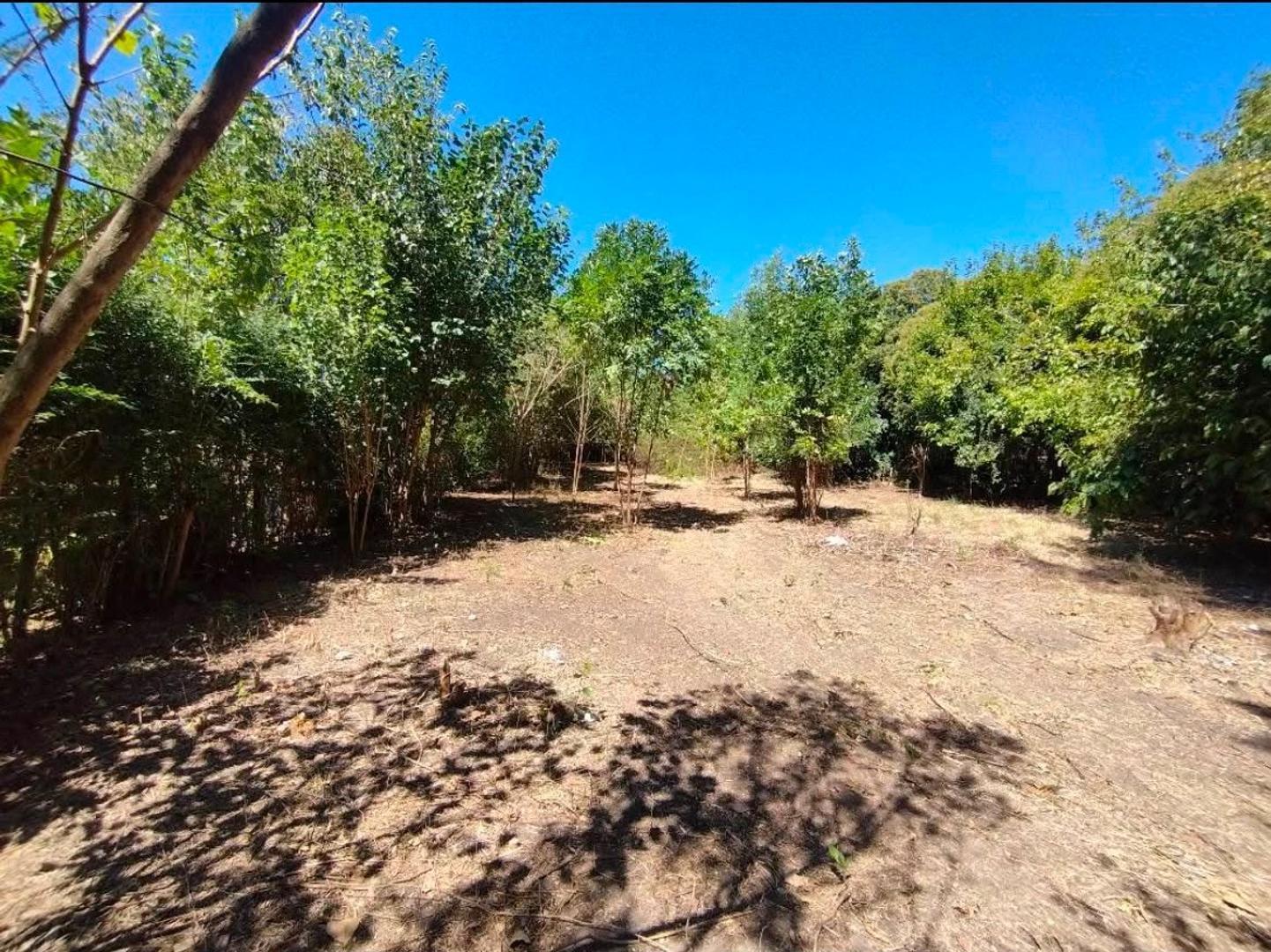 Foto de TERRENO EN VENTA PARQUE SAKURA, imagen 1