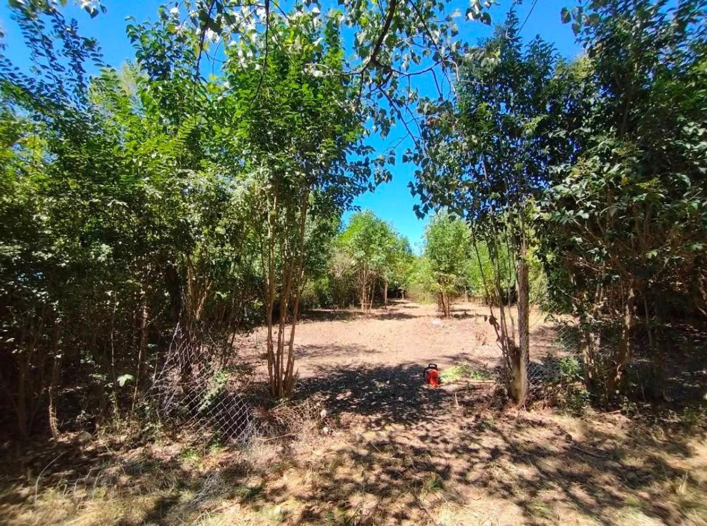 Foto de TERRENO EN VENTA PARQUE SAKURA, imagen 3