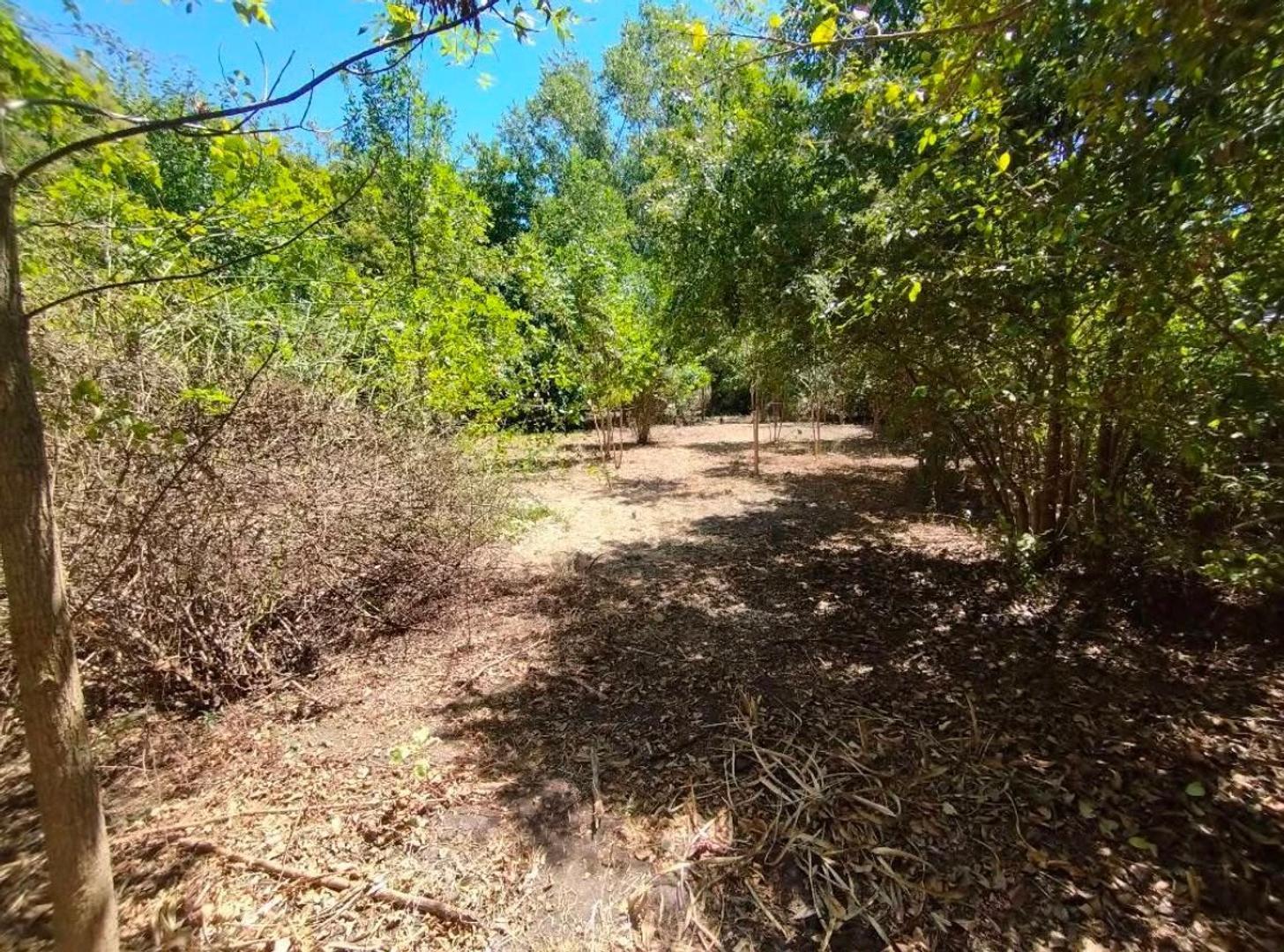 Foto de TERRENO EN VENTA PARQUE SAKURA, imagen 4