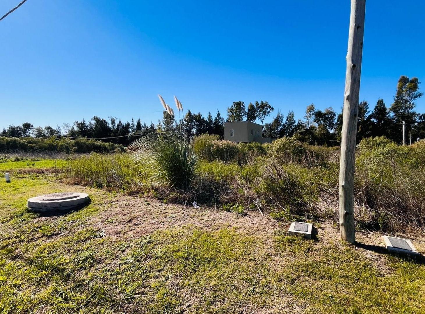Foto de LOTE EN VENTA - CARDALES CHICO, imagen 3